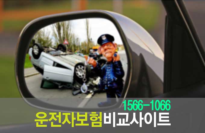 운전자보험비교사이트