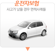 운전자보험
